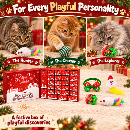 😻Cat Advent Calendar🎁✨